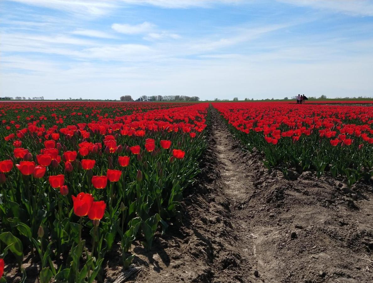 Gezellige Pipowagen In De Natuur Sommelsdijk Exterior foto